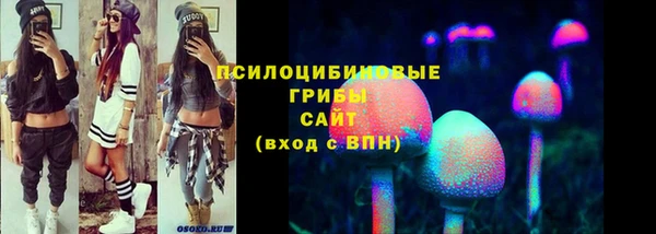 кокс Арсеньев