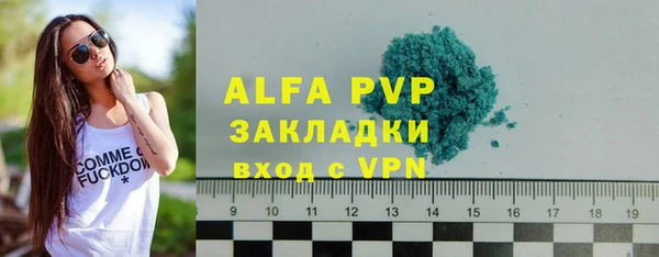 индика Сатка