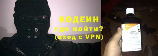 индика Сатка